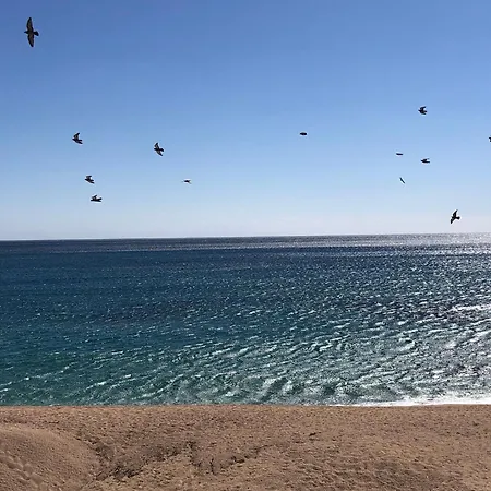 Apartment Modern Center Of *