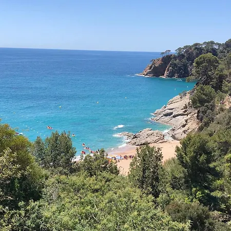 Apartment Modern Center Of *